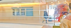 Cognitive computing and digital analytics enable a new era | © Jesse Orrico @ stocksnap.io